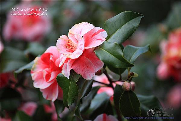 nEO_IMG_IMG_9511