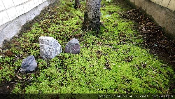 DSC_0393.JPG DSC_0393.JPG