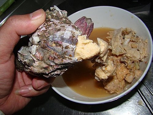 鮮味藤壺 ㄚ發果園的部落格 痞客邦 鮮味藤壺 ㄚ發果園的部落格 痞客邦