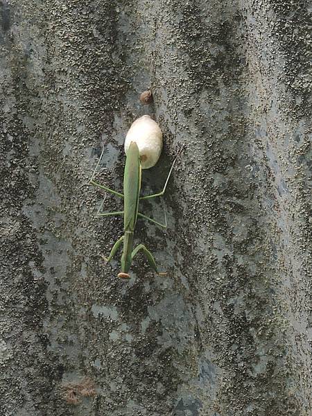 IMG20210626083932.jpg IMG20210626083932.jpg