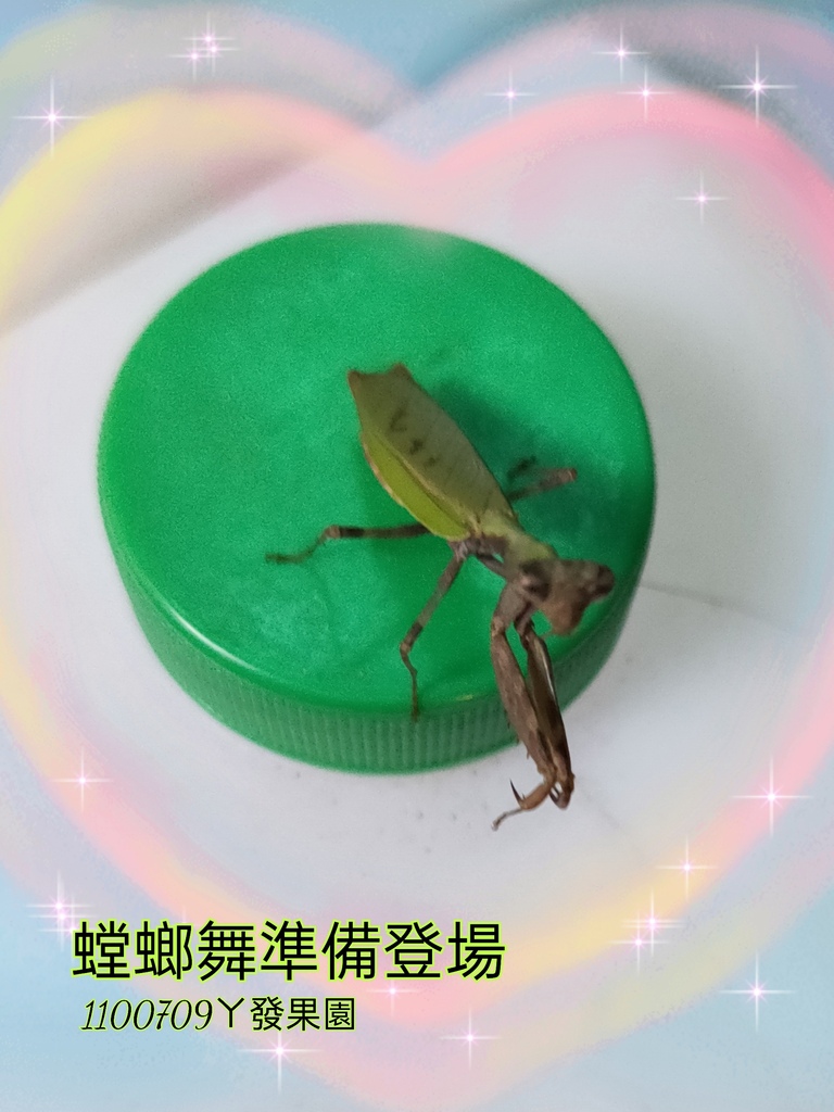 21-07-09-07-59-25-948_deco.jpg 21-07-09-07-59-25-948_deco.jpg