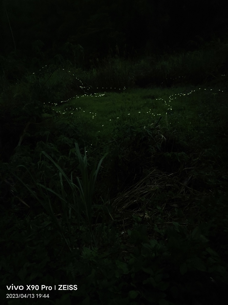 IMG_20230413_194152.jpg IMG_20230413_194152.jpg