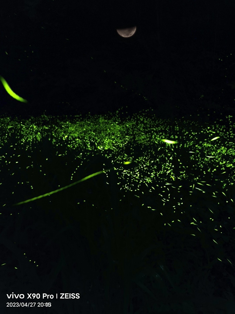 IMG_20230427_201555.jpg IMG_20230427_201555.jpg