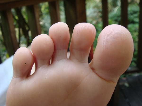 香菇腳趾頭