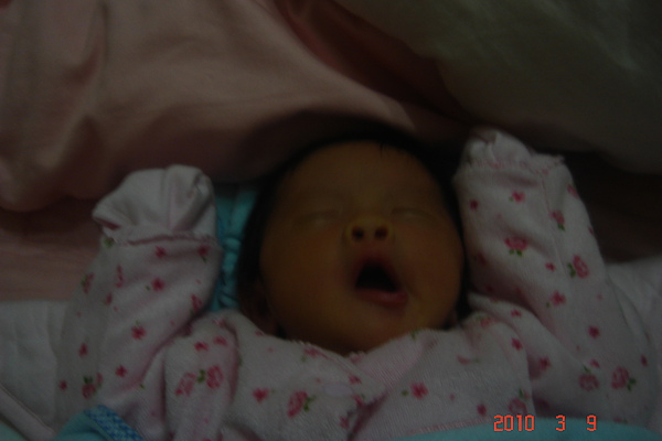 DSC04016.JPG