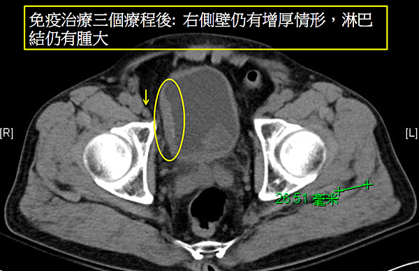 螢幕快照 2020-04-03 13.39.10.png