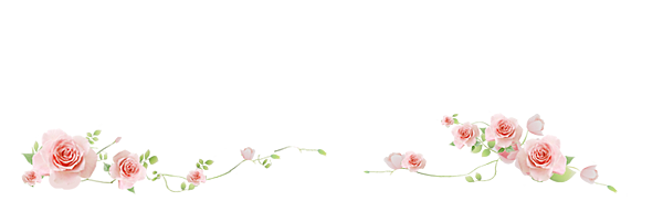 rose_line.png
