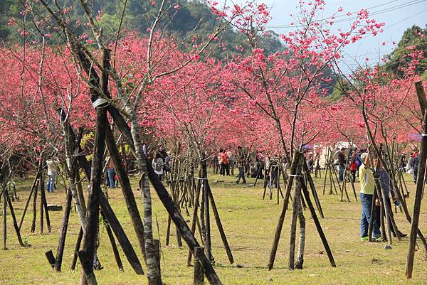 2014馬上有錢新春宜蘭行 186 (1024x683).jpg