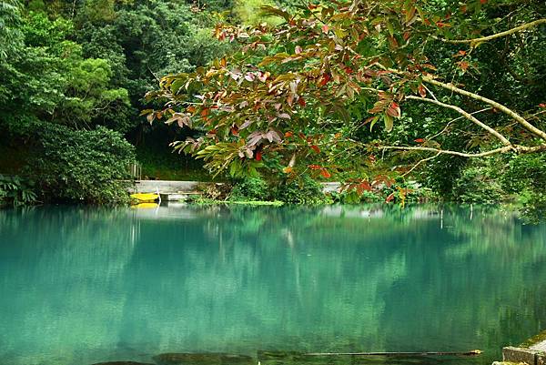 宜蘭大同櫻花季 098 (1024x683).jpg