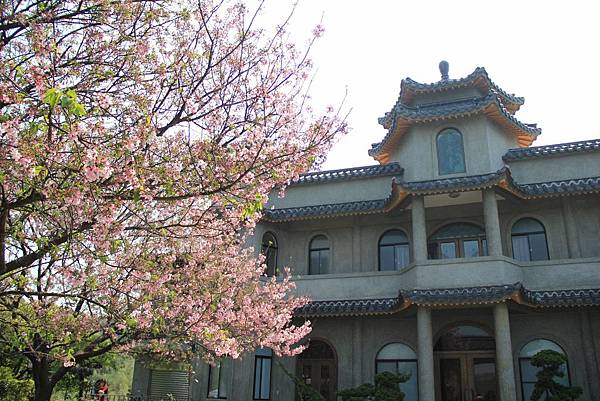 2014紫藤花季 038 (1024x683).jpg