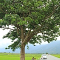 豪華美食圓夢環島五日遊 455 (683x1024).jpg