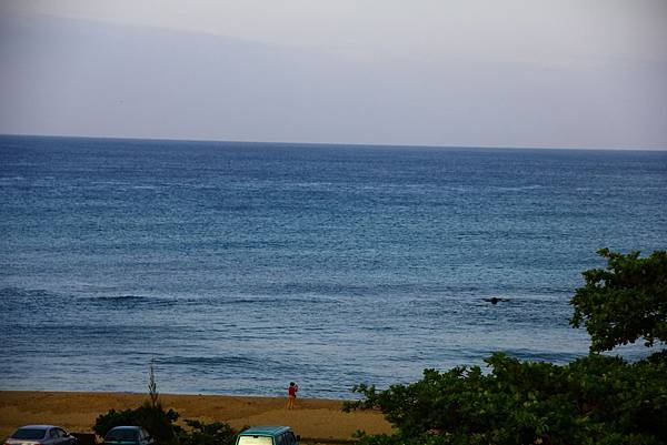 豪華美食圓夢環島五日遊 009 (1024x683).jpg