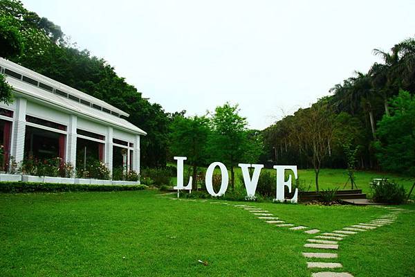 2014桃園油桐花開蘿莎會館 013 (800x533).jpg