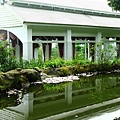 2014桃園油桐花開蘿莎會館 063 (800x510).jpg