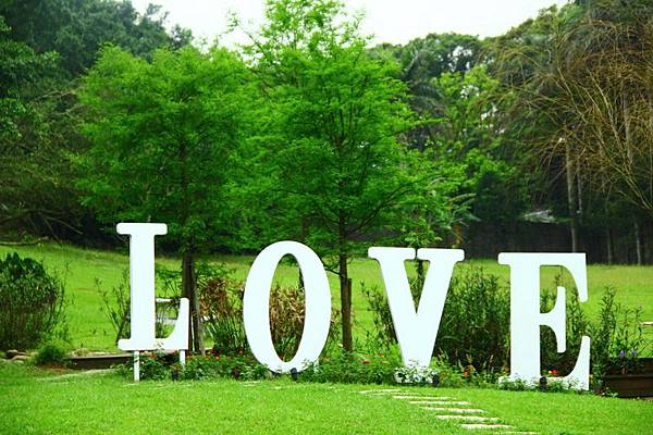 2014桃園油桐花開蘿莎會館 177 (800x533).jpg