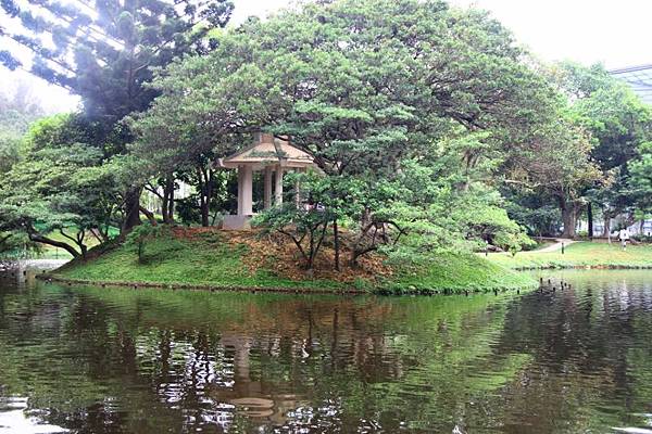 2014桃園油桐花開蘿莎會館 068 (800x533).jpg