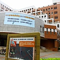 2014桃園油桐花開蘿莎會館 075 (800x533).jpg