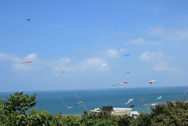2014白沙灣國際風箏節 079 (1024x683).jpg