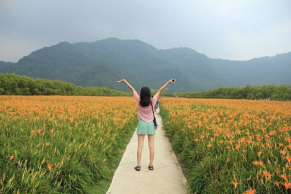 2014頭社金針花海 056 (1024x683).jpg