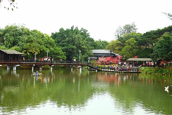 2015新春麗池櫻花公園 146 (1024x683)