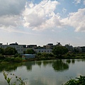 桃園陴塘公園_9589.jpg