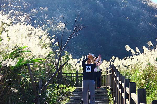 2015茶壺山芒花步道+和昇金礦餐旅會館 021 (1024x683).jpg