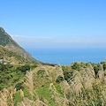 2015茶壺山芒花步道+和昇金礦餐旅會館 033 (1024x683).jpg