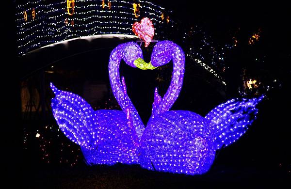 桃園中路風禾公園燈會 020 (1024x664).jpg