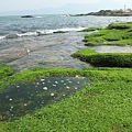 八煙泡湯+金山神秘海岸 113 (1024x683).jpg