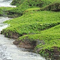 八煙泡湯+金山神秘海岸 118 (1024x683).jpg