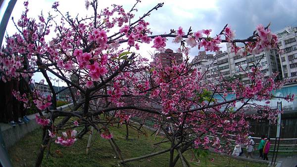 DSC_1085.JPG DSC_1085.JPG