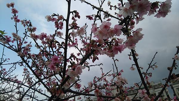 DSC_1095.JPG DSC_1095.JPG