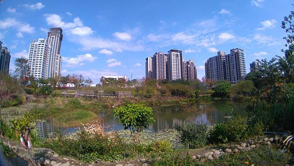 DSC_1301.JPG DSC_1301.JPG