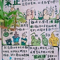 2017-07-07-11-33-32.jpg
