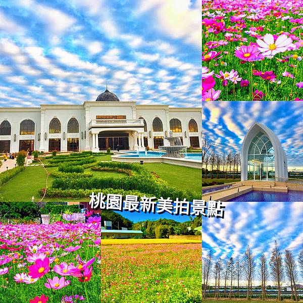 皇家薇庭婚宴會館,G10貨櫃巿集,桃林鐵馬道,楓樹坑波斯菊花海,莊敬大池,憲光二村,桃園燈會,桃園,IG,打卡,拍照,波斯菊,楓樹坑,花海,賞花,一日遊,自行車,教堂,落羽松,桃園藝文特區,桃林鐵路,地震
