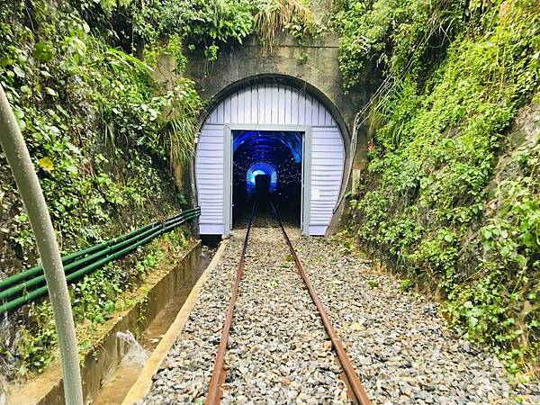 深澳鐵道自行車：新北八斗子新玩法，騎著rail bike看海去！可愛河豚帶