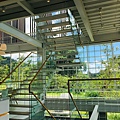 IMG_5009.JPG