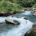 IMG_5092.JPG