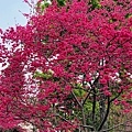 IMG_2360.jpg