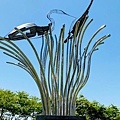 IMG_5339.jpg