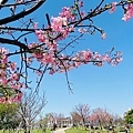 IMG_5345.jpg