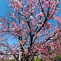 IMG_5362.jpg