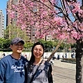 IMG_5377.jpg