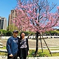 IMG_5375.jpg