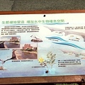 IMG_1072.jpg