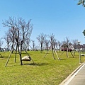 IMG_5409.jpg