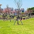 IMG_5416.jpg