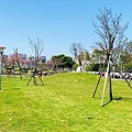 IMG_5417.jpg