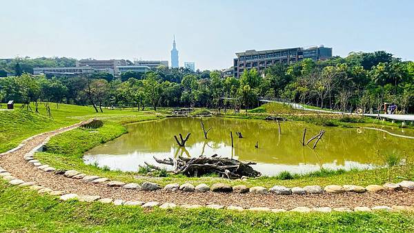 台北,信義,四獸山,永春陂濕地公園,打卡,IG,拍照,生態,野餐,泛舟,瀑布,花海,台北景點