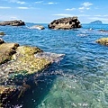 IMG_9426.jpg